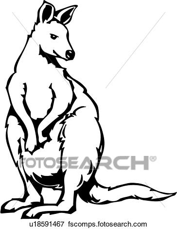 364x470 Kangaroo Clipart Sketch