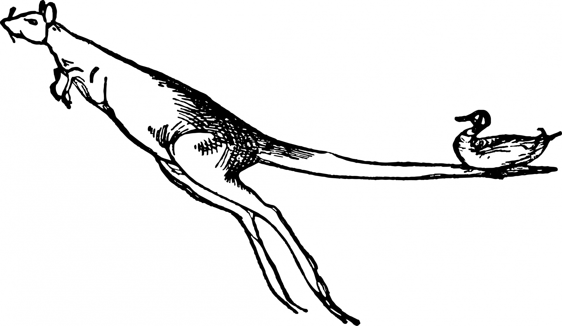 1920x1115 Vintage, Victorian, Oldampnbspfashioned, Sketch, Drawing