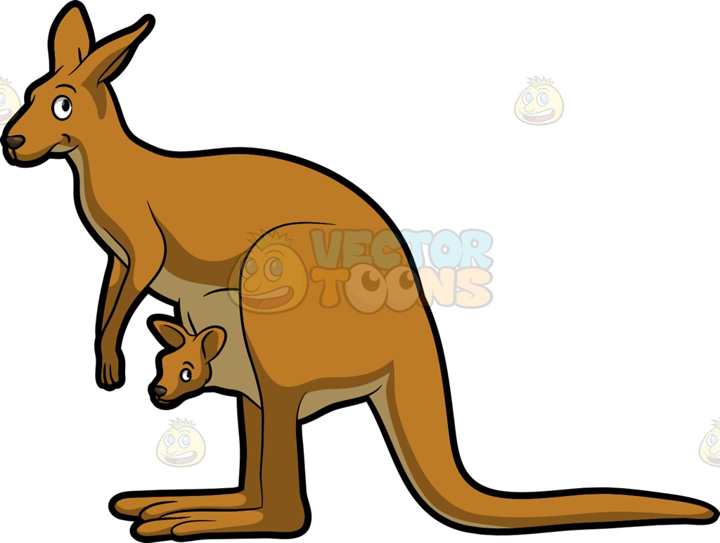 1024x772 Collection Of Free Furry Clipart Female Kangaroo Download On Ui Ex