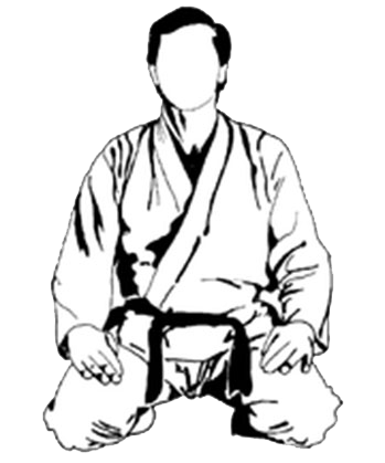 349x419 What Is Karate