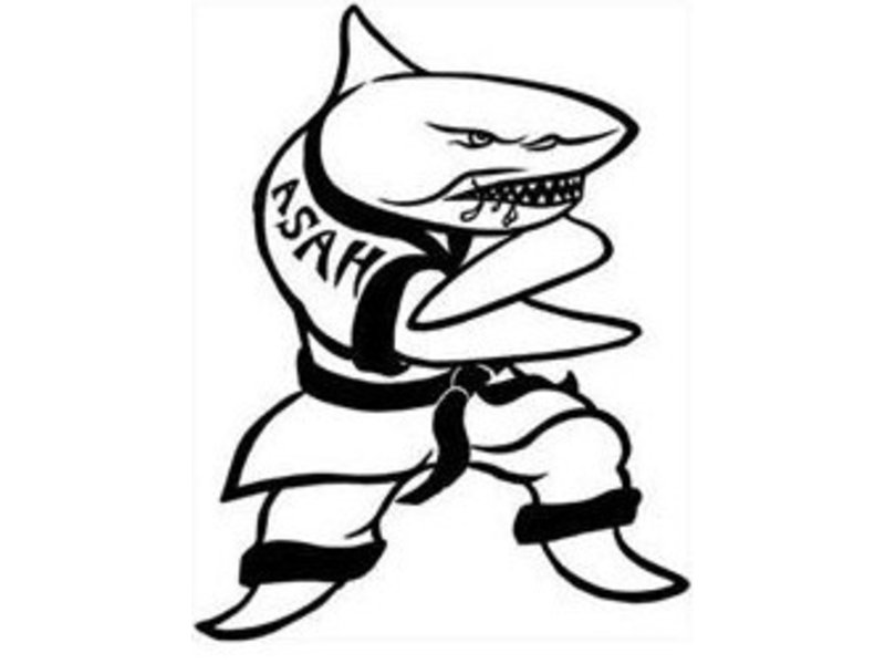 800x600 Action Karate Offers Free Anti Bullying Training For Kids