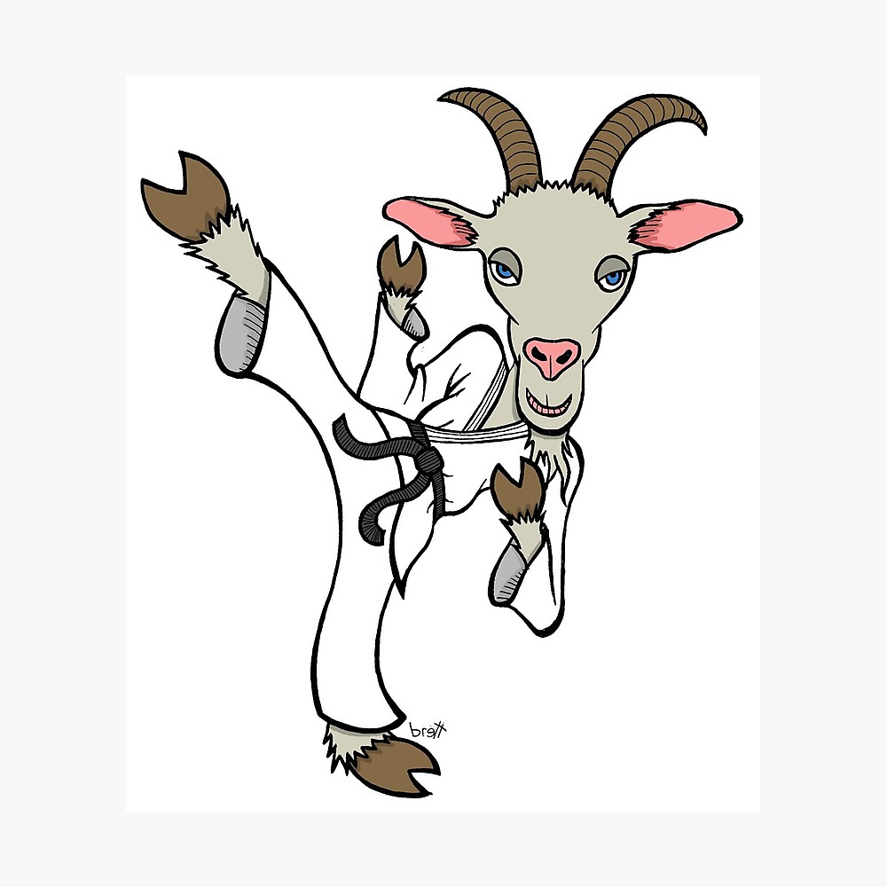 1000x1000 Karate Kid Photographic Print