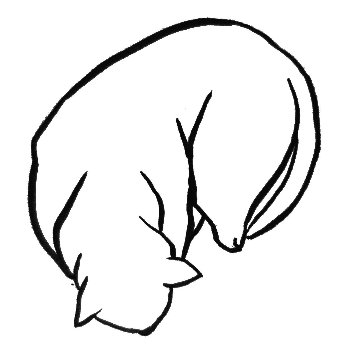 1200x1200 Karen Luk On Twitter Cat Loaf, Cat Nap My Thanks To Everyone