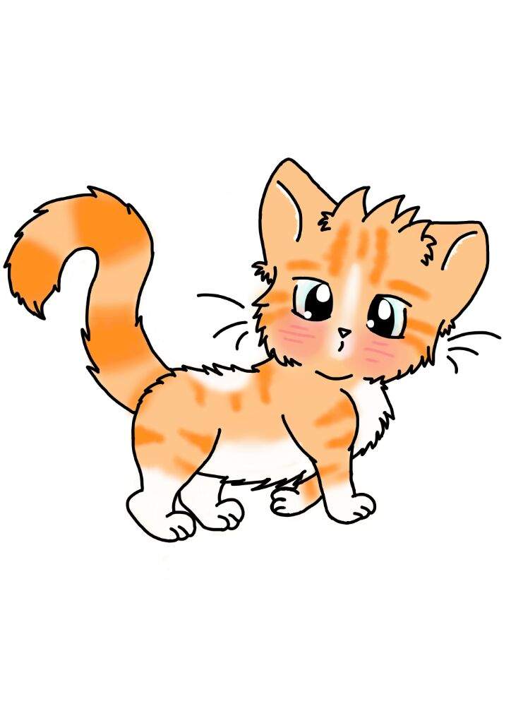 724x1024 Kawaii Cat Drawing Kawaii Amino Amino
