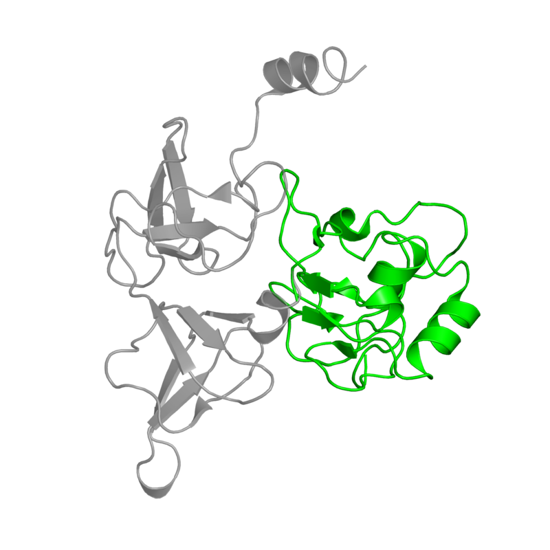 800x800 Pdb Gallery Protein Data Bank In Europe