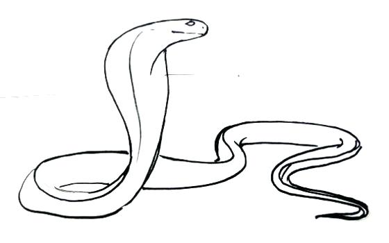 560x350 Drawing Snake Snake Spirit