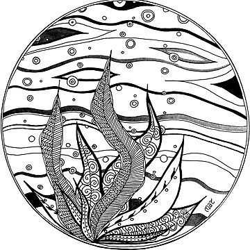 360x360 kelp bubbles