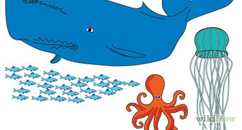 342x184 How To Draw A Crab Steps