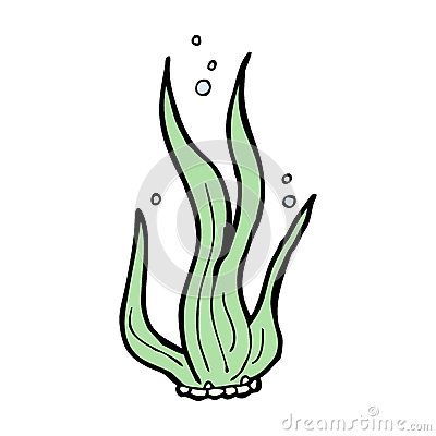 400x400 L Building Seaweed, Seaweed