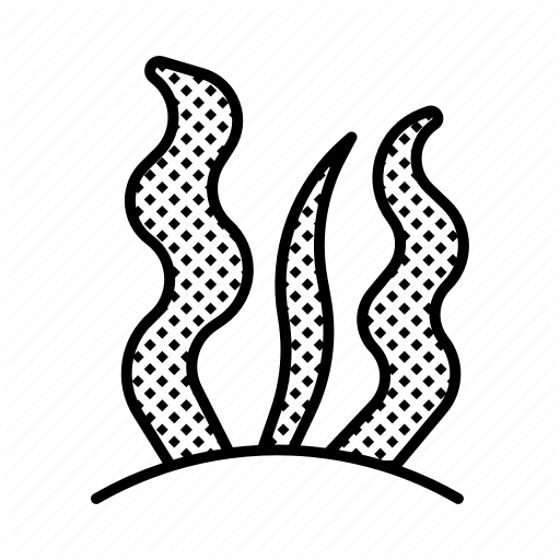 512x512 Seaweed Seaweed Food Transparent Png Clipart Free Download