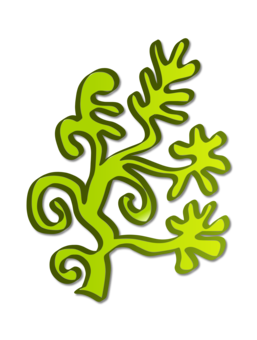 257x340 algae giant kelp transparent png clipart free download