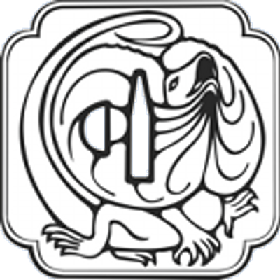 400x400 Australian Kendo