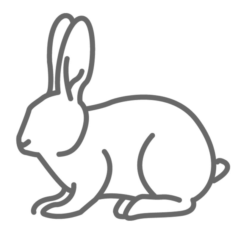 800x800 ipswich boarding kennels