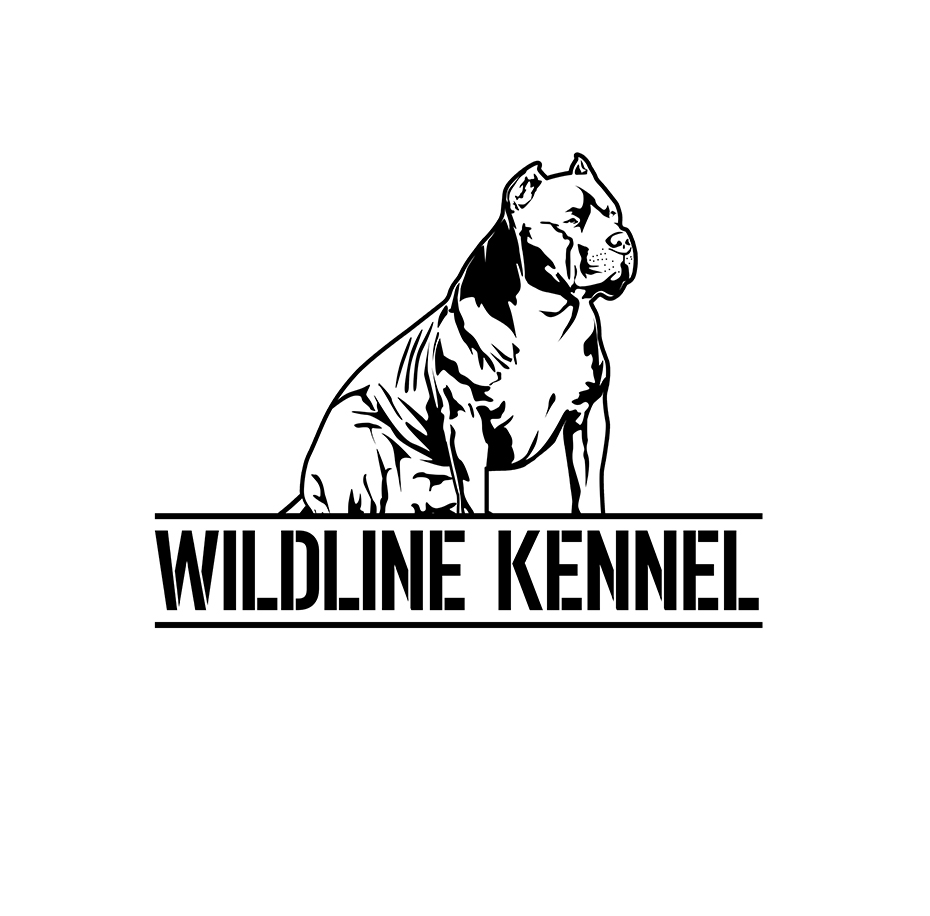 930x916 Masculine, Upmarket Logo Design For Wildline Kennel
