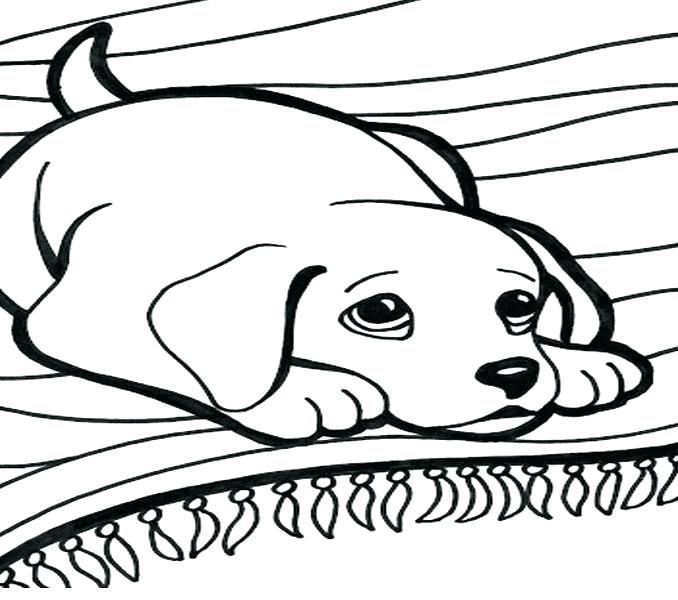 678x600 Small Puppy Coloring Pages Free Dog House Worksheet Drawing Kennel