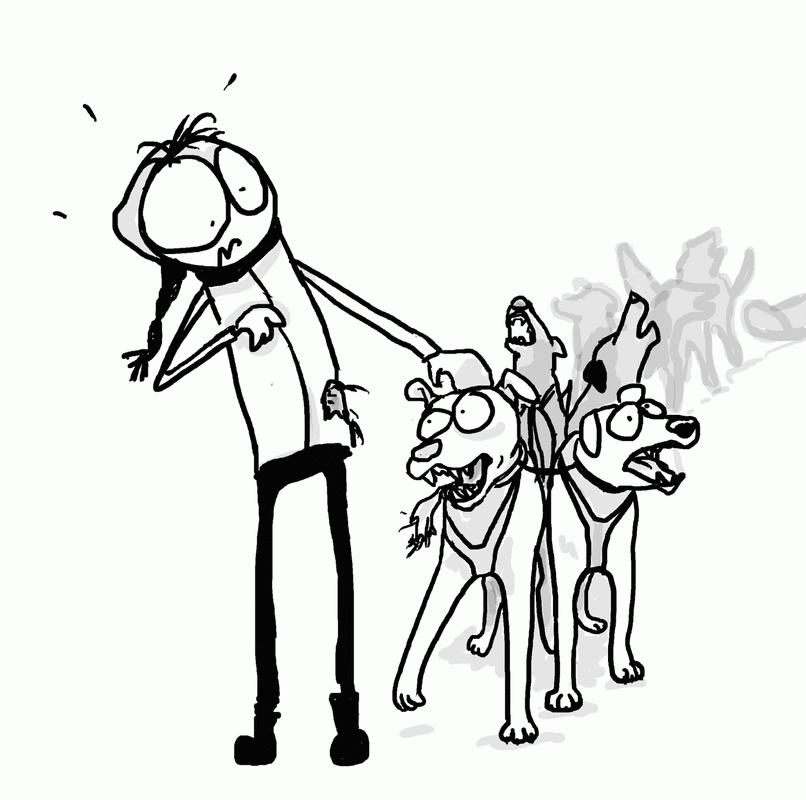 806x800 The Lighter Side Of Life In The Northern Forest!