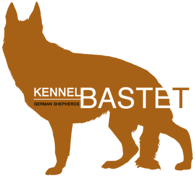 384x350 Bastet Drawing Dog Transparent Png Clipart Free Download