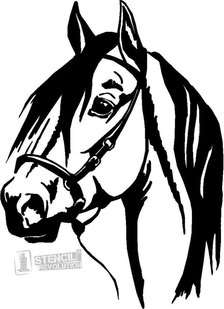 736x1014 Horseshoe Drawing Fancy Horse For Free Download