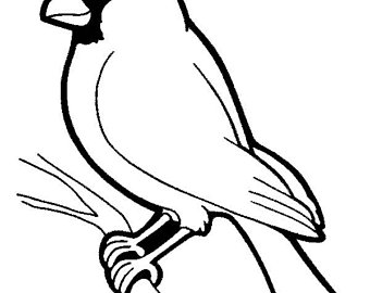 340x270 Kentucky Birds Etsy