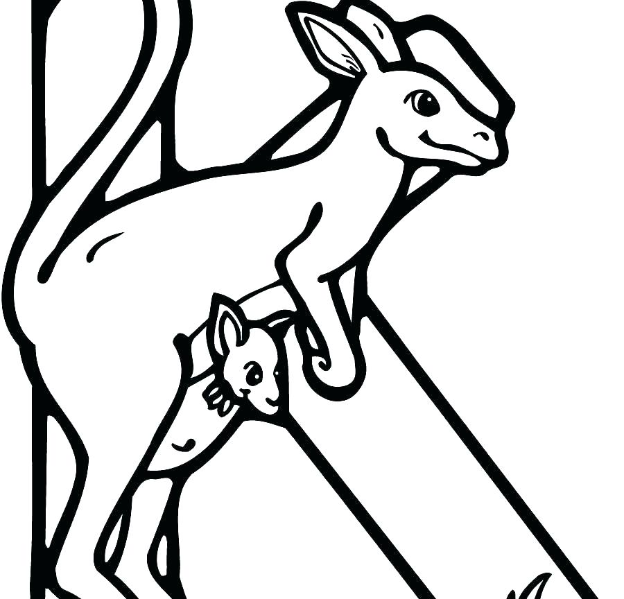 900x864 Kentucky Wildcats Coloring Pages Basketball Via Wildcat Pertaining