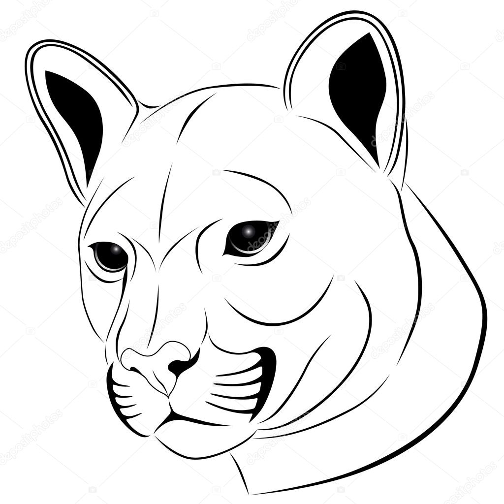 1024x1024 Wild Cat Drawing Wildcat Coloring Pages