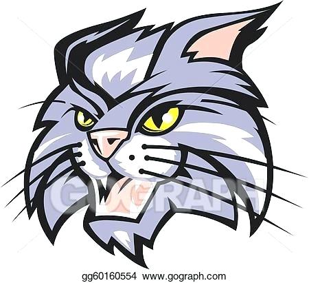 450x411 wildcat drawing wildcat drawings images