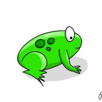 336x336 Frog Drawing Tutorial Kermit The Easy House Pictures Stuff Step