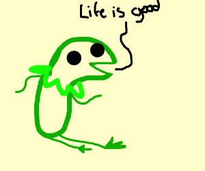 300x250 Wholesome Kermit