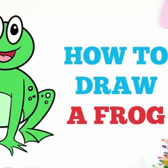 336x336 Frog Drawing Tutorial Kermit The Easy House Pictures Stuff Step