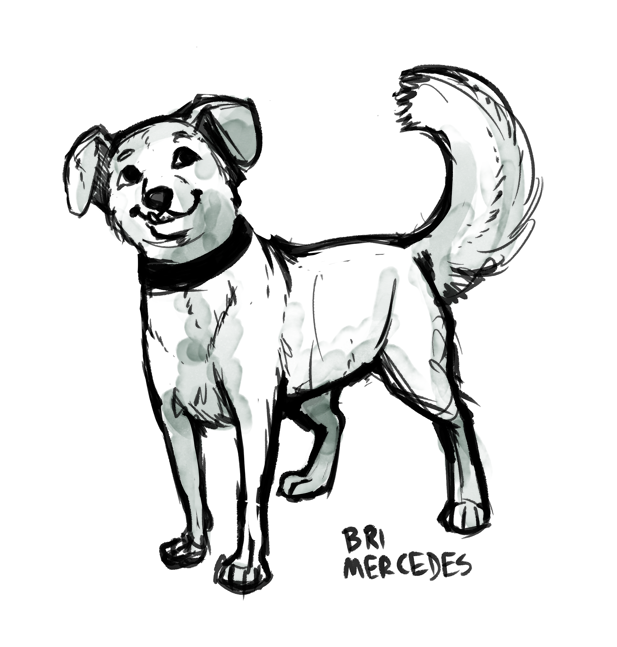 617x647 Patreon Sketch