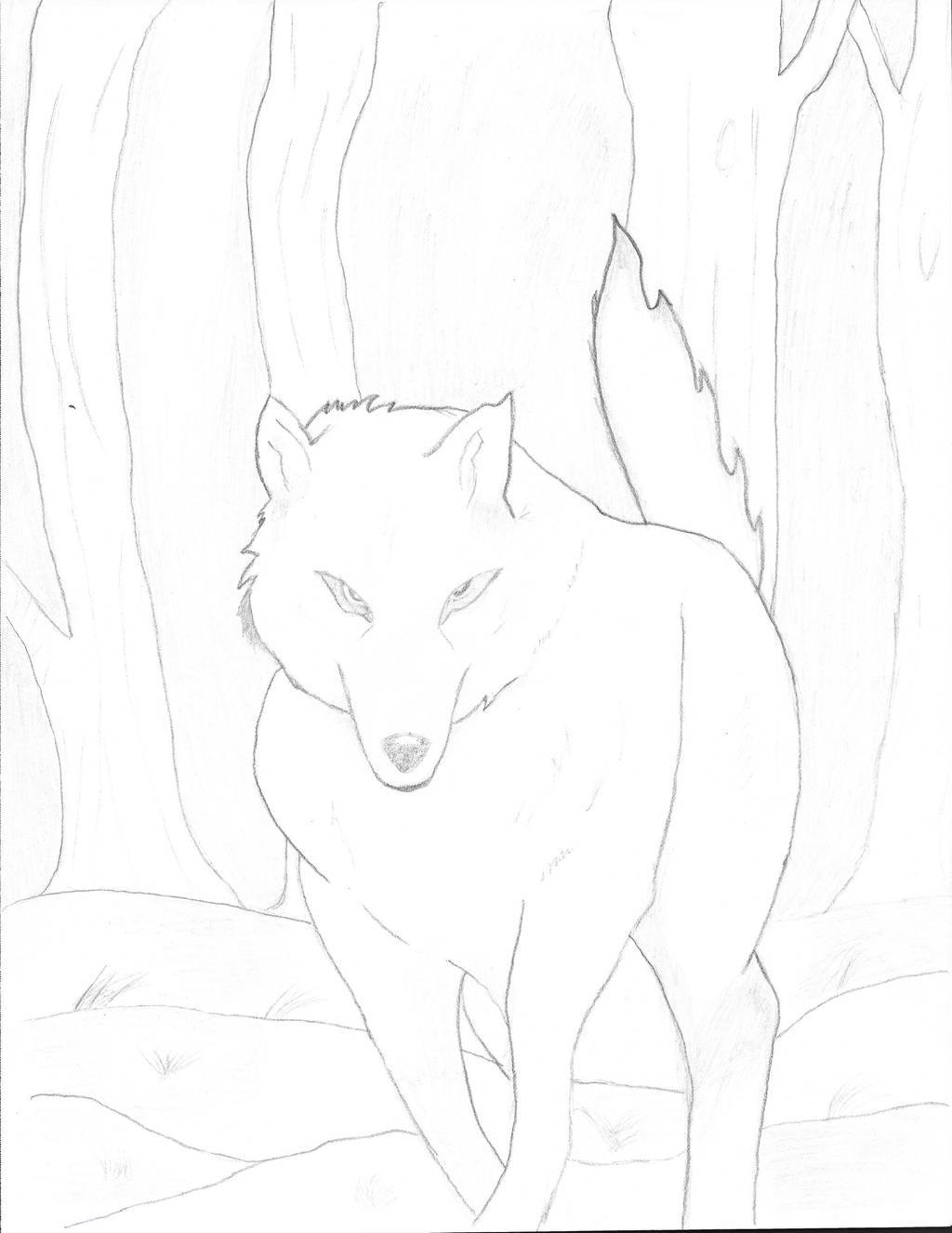 1024x1326 Forest Kiba