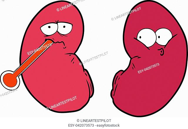 640x440 Drawing Kidney Stock Photos And Images Age Fotostock