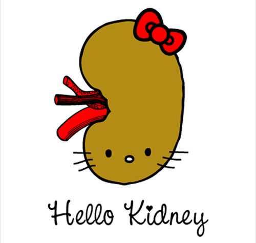500x475 hello kidney nourishing kidney chi kung nursing school