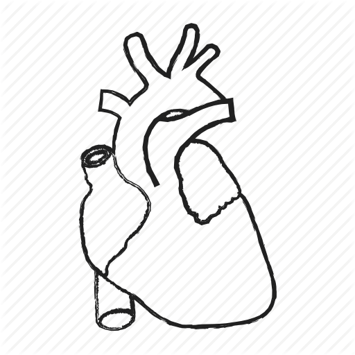 512x512 Collection Of Free Kidney Drawing Hand Drawn Download On Ui Ex