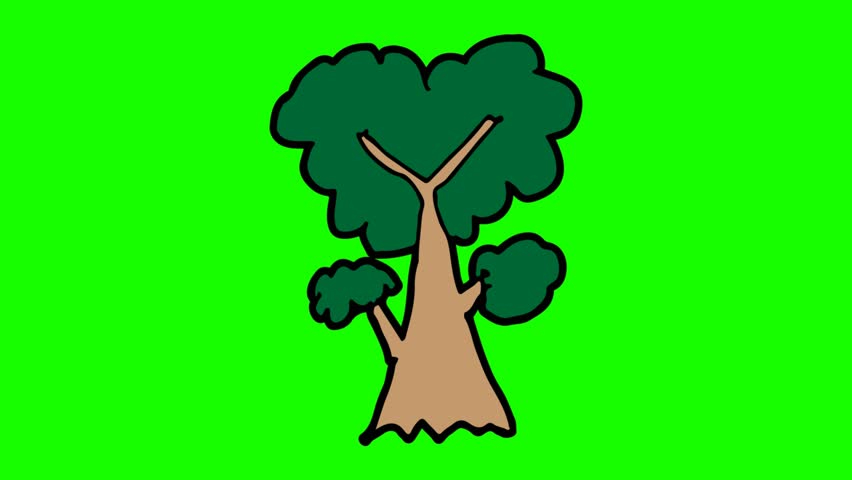 852x480 Kids Drawing Tree Stock Video Footage