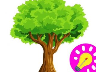 320x240 Save Trees Pictures For Kids How To Draw Save Trees And Save