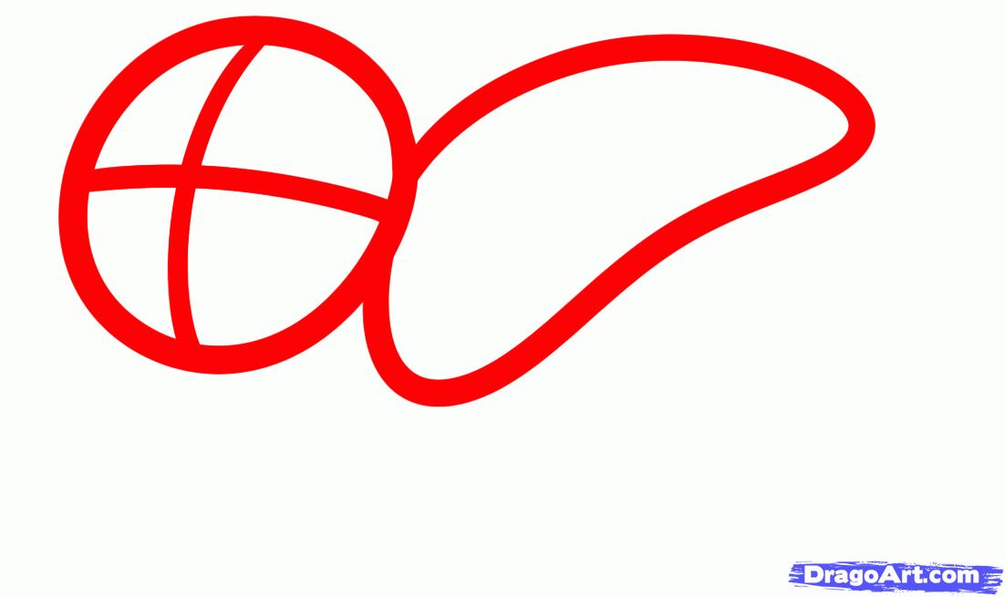 1102x655 Draw An Otter Swimming For Kids, Step