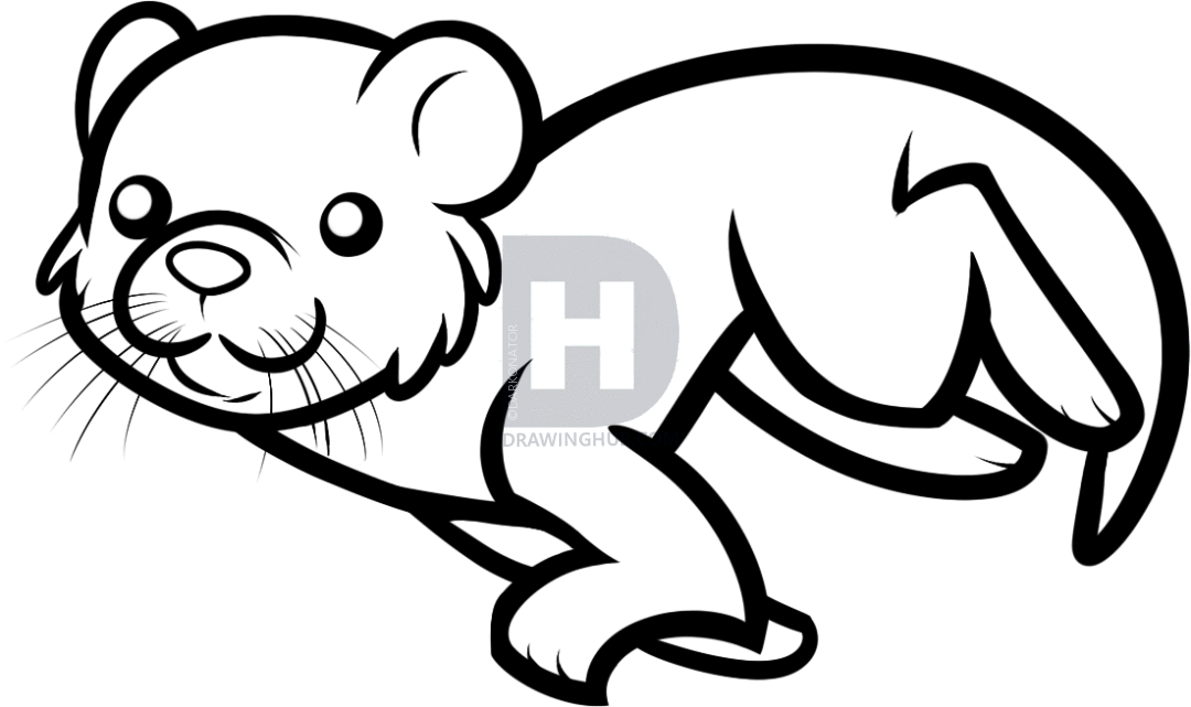 1080x641 How To Draw An Otter Swimming For Kids, Step