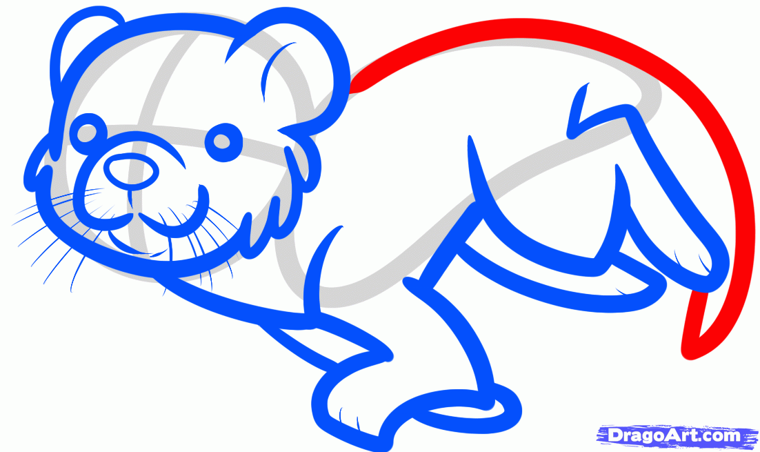 1102x655 How To Draw An Otter Swimming For Kids, Step