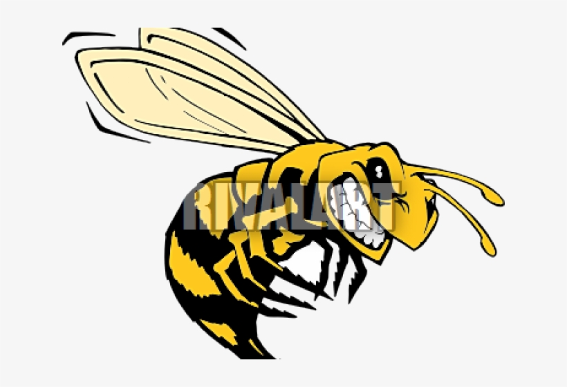 820x560 Killer Bee Clip Art Transparent Png