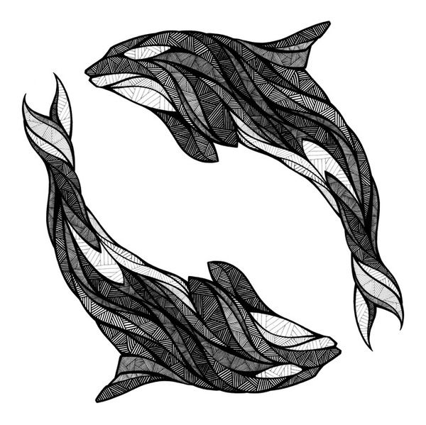 600x599 How To Draw A Killer Whale Tail