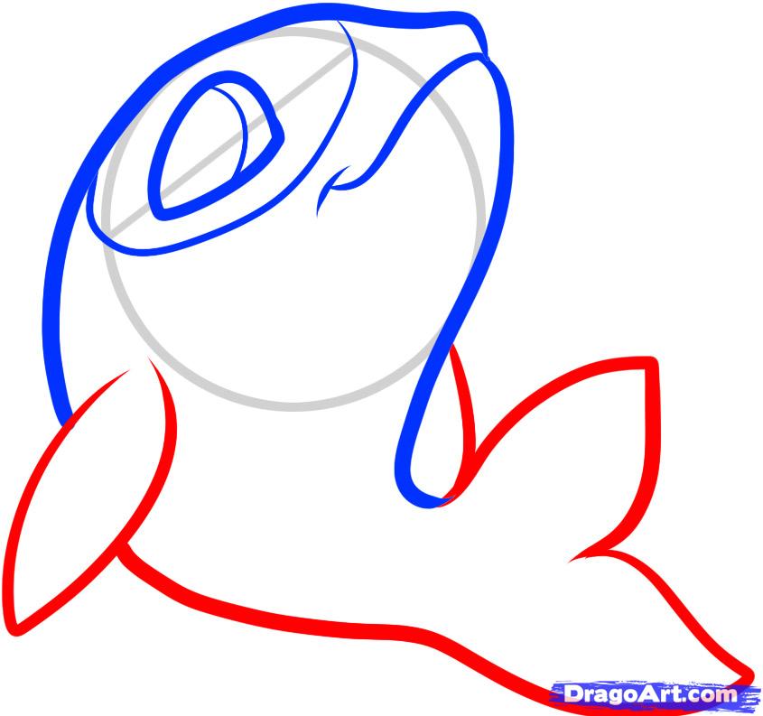 845x793 Draw A Killer Whale For Kids, Step