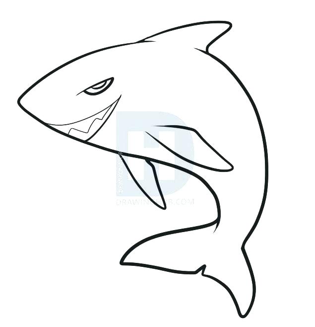 635x658 Easy To Draw Whale Easy Draw Killer Whale