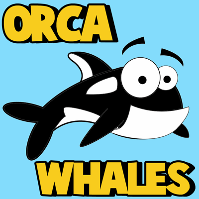 400x400 How To Draw Cartoon Orca Whales With Easy Step