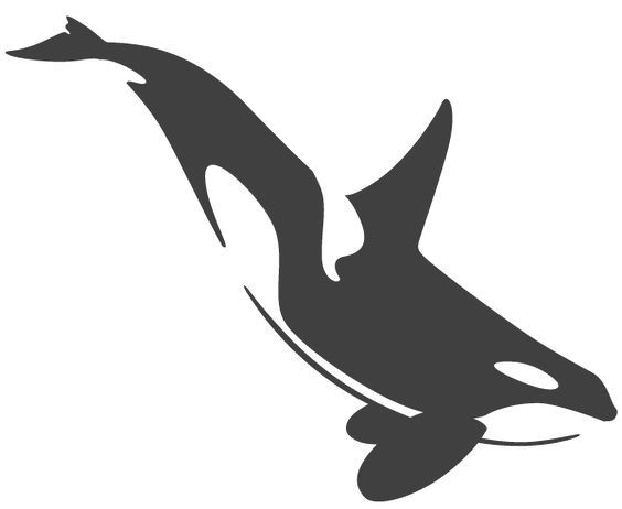 564x462 Ideas In Orca Tattoo, Whale