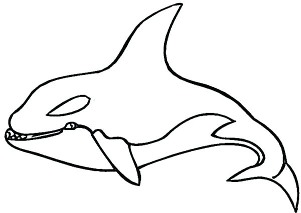 600x426 Whale Drawing At Free For Personal Use Coloring