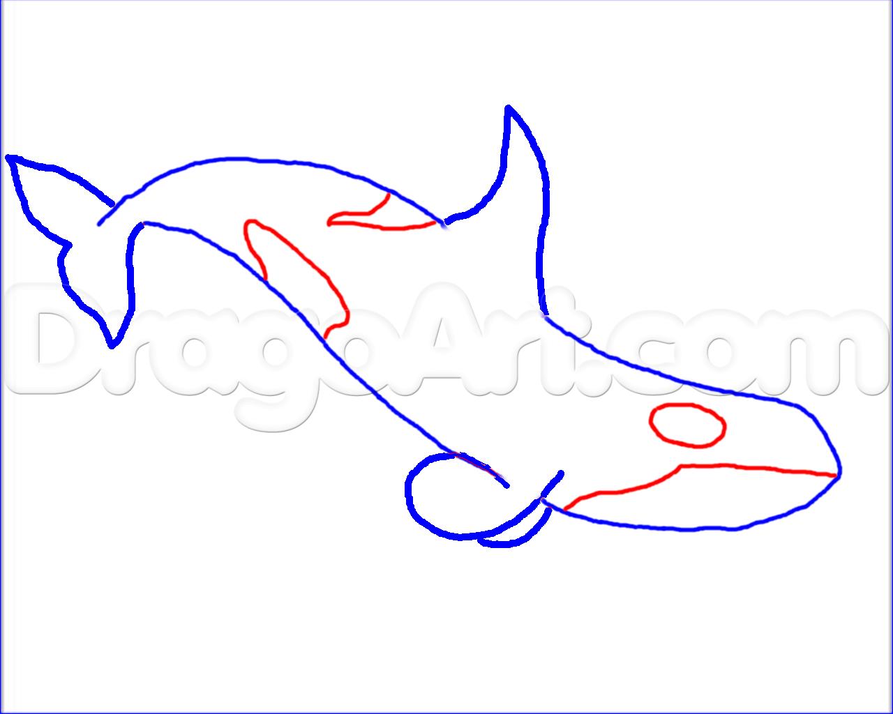 1280x1024 Draw A Killer Whale, Step