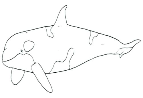 500x344 Coloring Pages Best