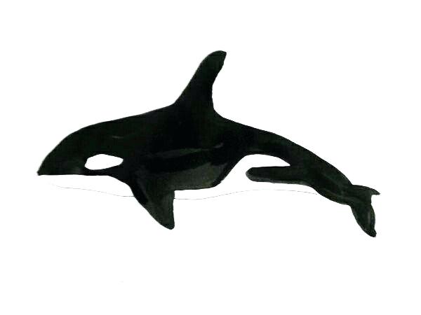 600x450 How To Draw An Orca How To Draw A Killer Whale In Steps