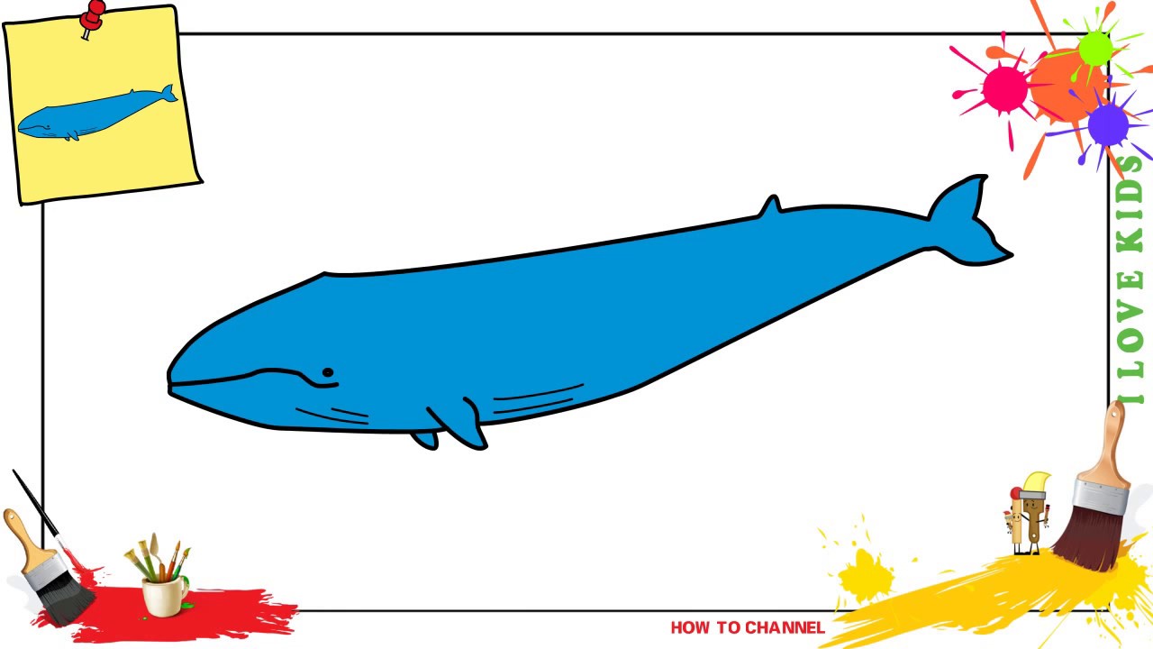 1280x720 How To Draw A Blue Whale Easy Slowly Step
